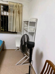 Blk 517E Jurong West Street 52 (Jurong West), HDB 4 Rooms #562453751